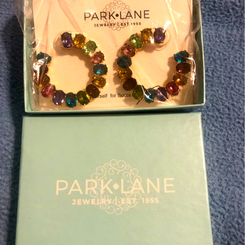 Park Lane Dream Statement Earrings